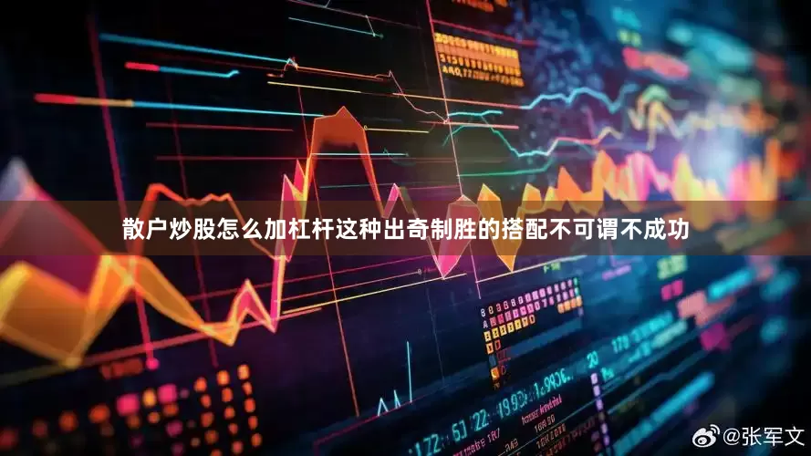 散户炒股怎么加杠杆这种出奇制胜的搭配不可谓不成功