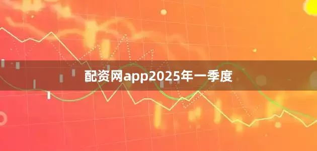 配资网app　　2025年一季度