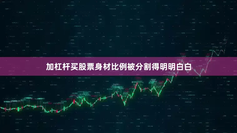 加杠杆买股票身材比例被分割得明明白白